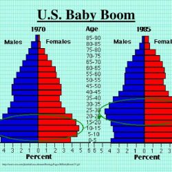 Baby boom ap human geography