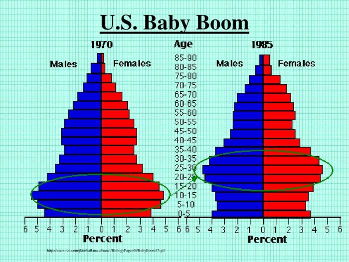 Baby boom ap human geography