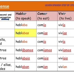 Interactive grammar tutorial present tense of ser