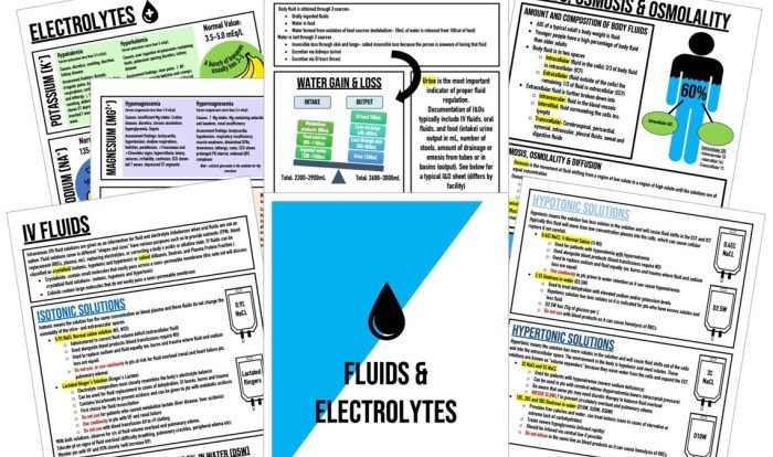 Fluid and electrolyte case studies for nursing students