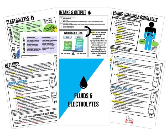 Fluid and electrolyte case studies for nursing students