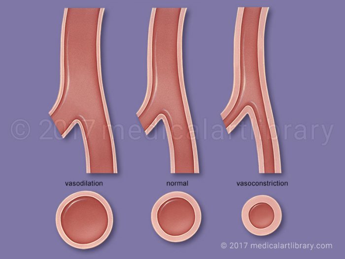 Resistance vascular shock systemic vasoactive peripheral agents nursing stroke volume patient icu mnemonics heart failure total cardiac low crashing 場合