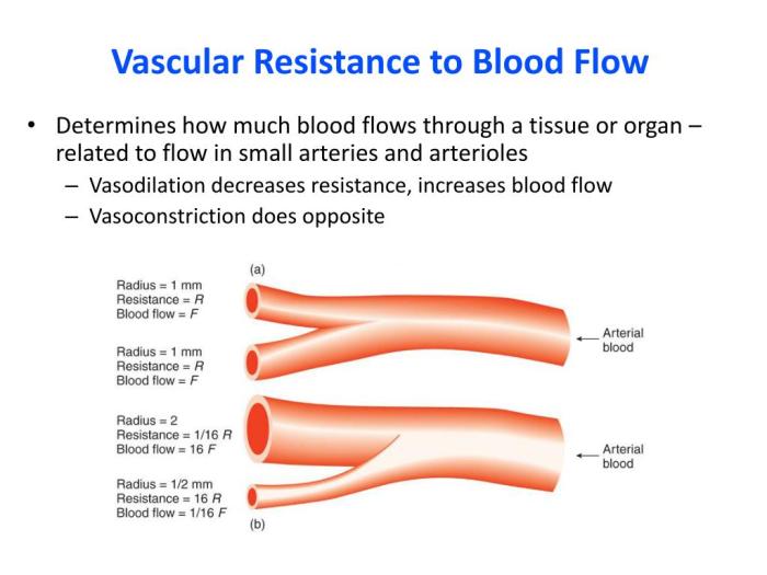 Vascular peripheral physiology drawittoknowit cardiac